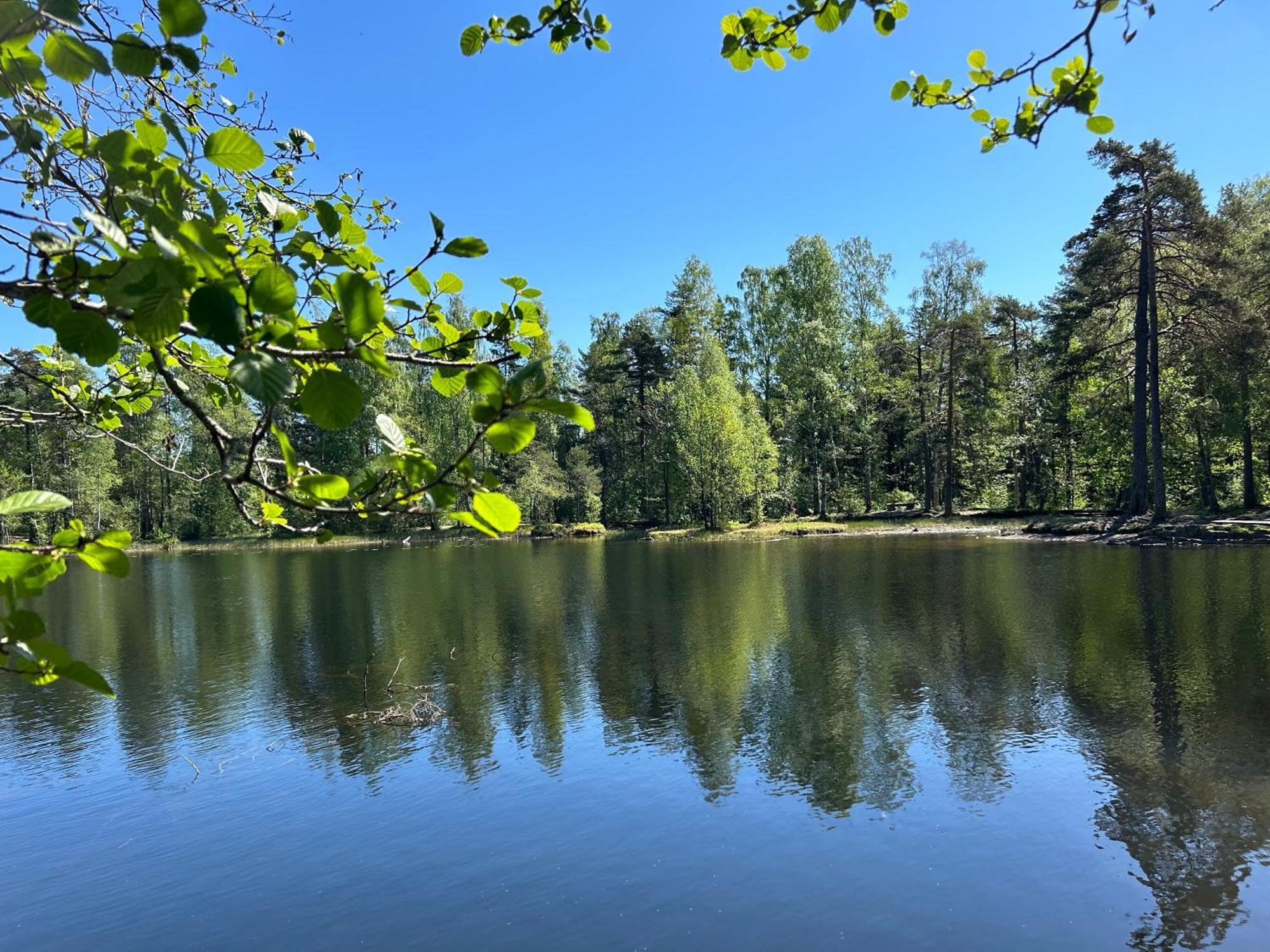 Hallingstua Oslo Exteriör bild